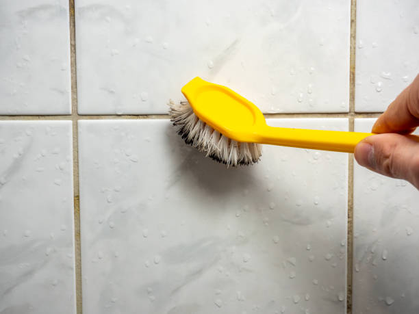 Professional Mold Removal in Powderly, TX
