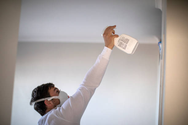 Best Toxic Mold Removal  in Powderly, TX