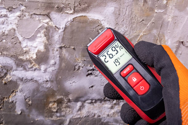 Best Residential Mold Removal  in Powderly, TX