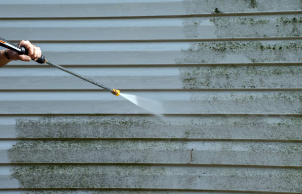 Best Residential Mold Removal  in Powderly, TX