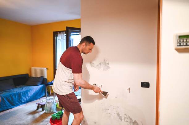 Best Best Mold Removal Companies  in Powderly, TX